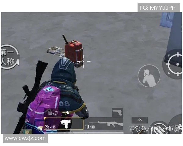 和平精英中FPX区域防守策略的优缺点分析与战术启示