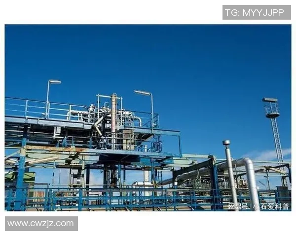 独家深度解析LNG市场竞争力及其未来发展潜力分析 独家深度解析LNG市场竞争力及其未来发展潜力分析